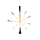 Vega Professional Set of 9 Brushes - EVS-09 